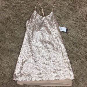NWT Free Press Pink Wood Sequin Slip Dress